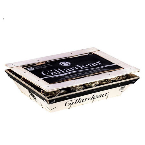 吉娜朵Gillardeau生蚝限时增重