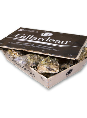 吉娜朵旗舰店N0/N1/N4号12只 进口法国生蚝 空运鲜活即食刺身牡蛎