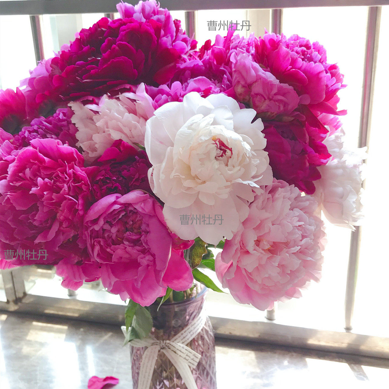 鲜花重瓣菏泽大芍药鲜切花牡丹家庭插花进口芍药花神山东基地直发 曹州牡丹芍药种植园 淘优券