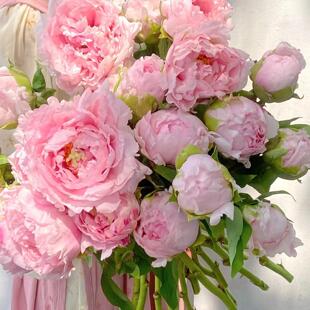 【雪映桃花】山东重瓣牡丹鲜切花束插花云南百合年芍药鲜花