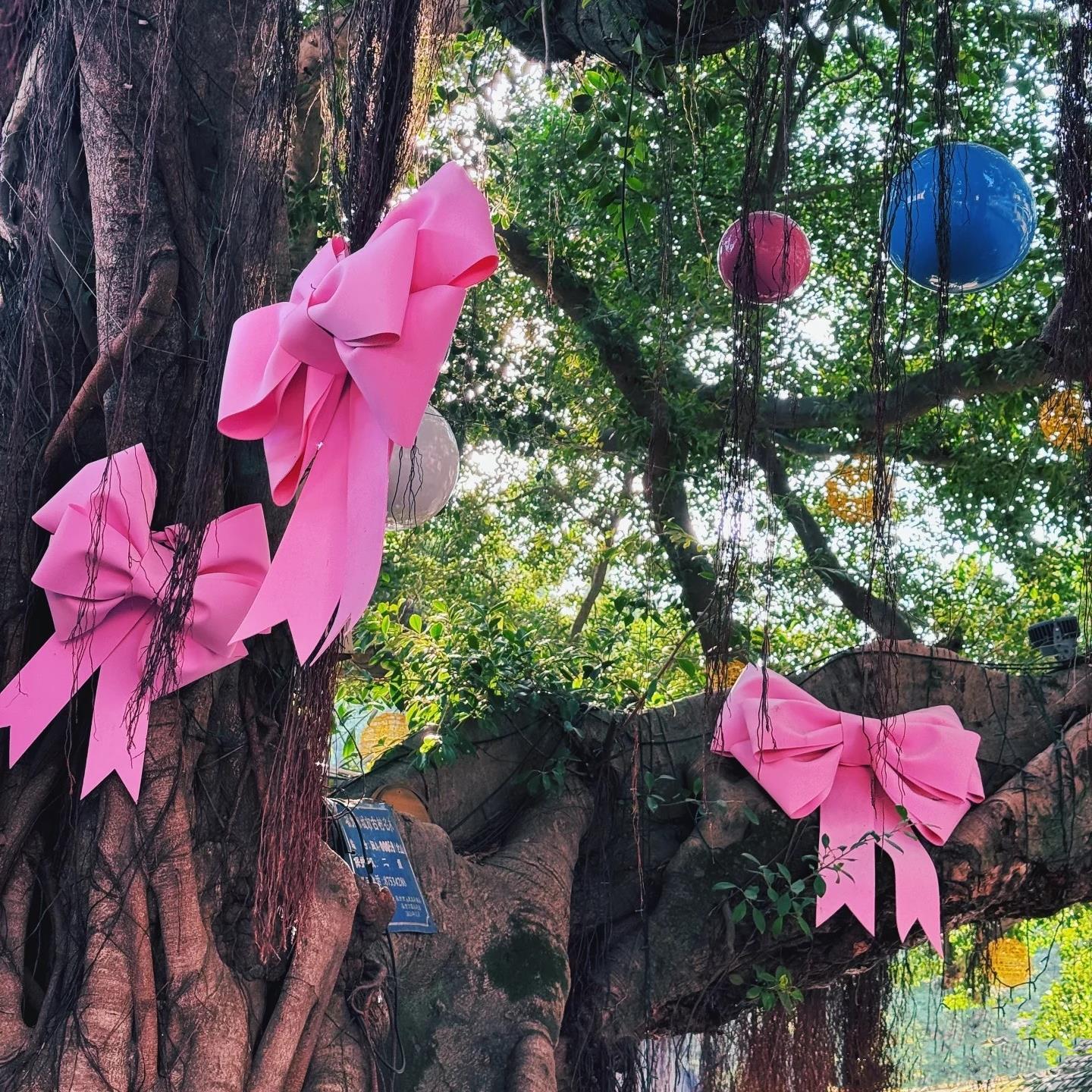 蝴蝶结树木装饰交房仪式感