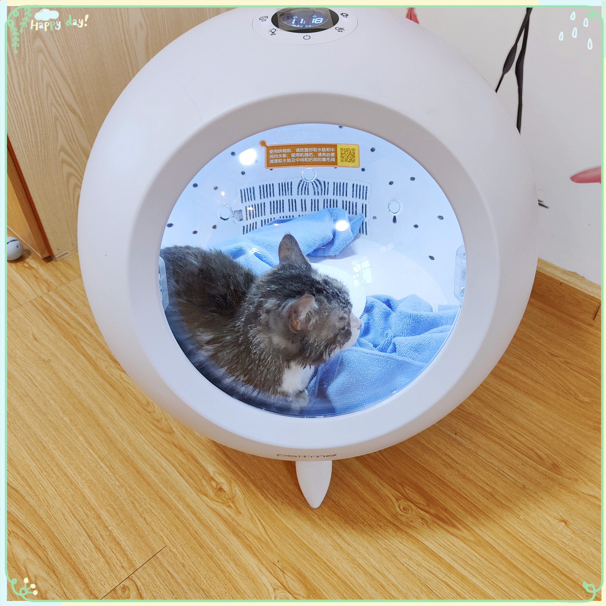 胖胖家猫咪寄养猫沐浴露洗澡项目
