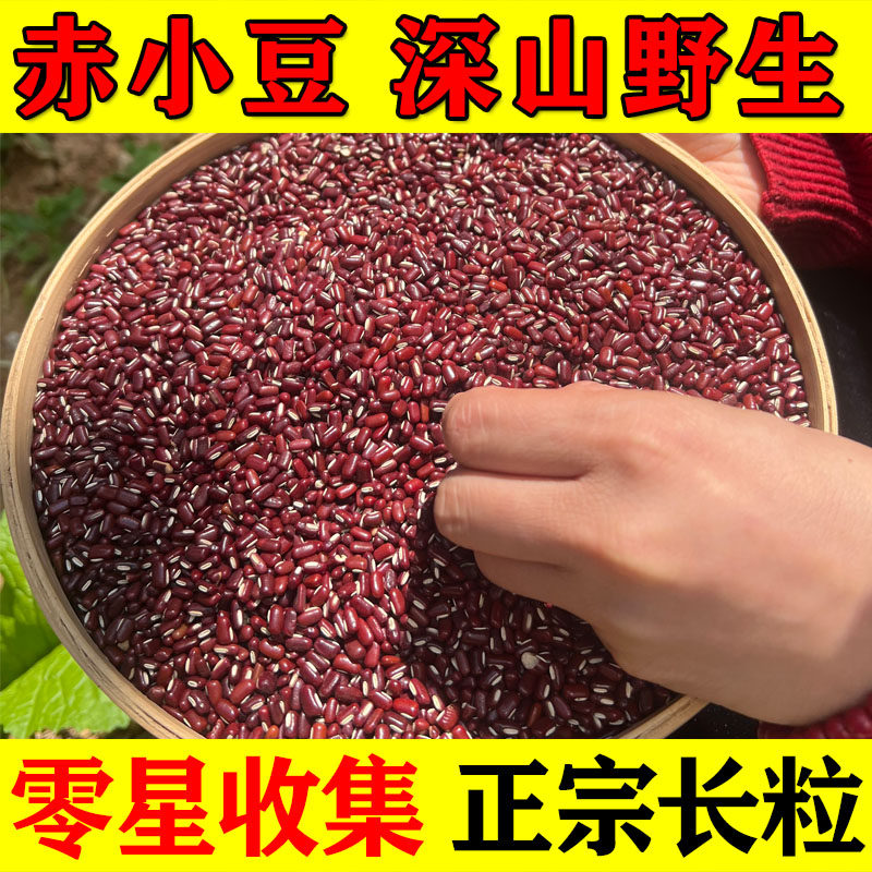 纯野生赤小豆500g正宗无硫中药材云南深山纯天然正品长粒赤豆祛湿