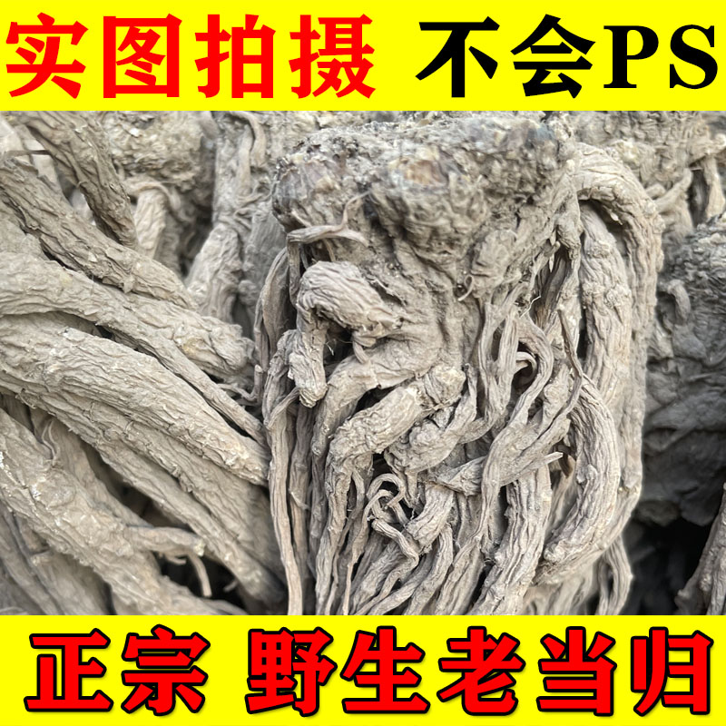 当归 野生全当归500克甘肃岷县纯天然野生当归整个正品无硫中药材