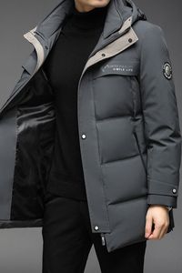 B2176钱塘2020-3冬季连帽男士羽绒服90白鸭绒中年商务休闲P290图片