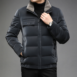 B676钱塘2020-3冬季纯色男士羽绒服90灰鸭绒立领休闲纯色P245图片