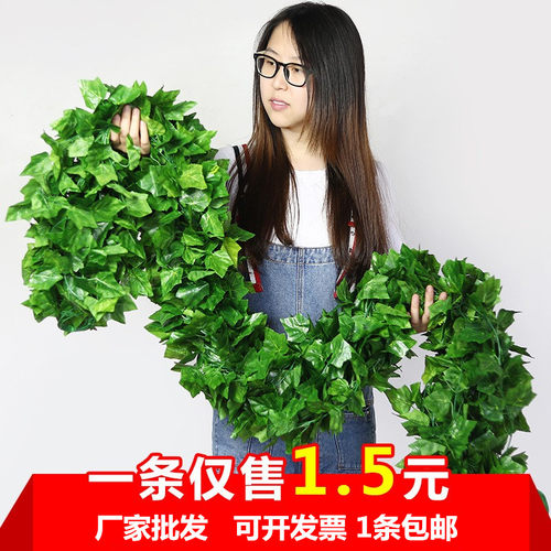 仿真葡萄叶绿藤条藤蔓植物树叶管道遮挡装饰花藤假花塑料绿叶缠绕