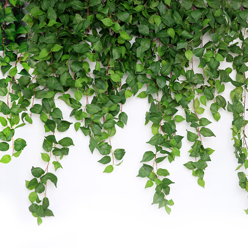 仿真绿植塑料藤条室内暖气空调管道遮挡装饰绿色叶子藤蔓墙面吊顶