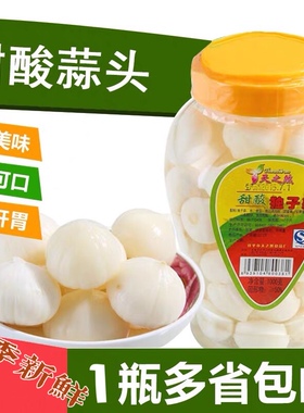 甜酸独子蒜 开平特产天之然 糖醋蒜头金山火蒜酱腌菜配菜餐前小吃