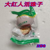 高邮大红人活珠子新鲜13天即食熟食凤凰蛋毛蛋钢化蛋毛鸡蛋鸡胚蛋