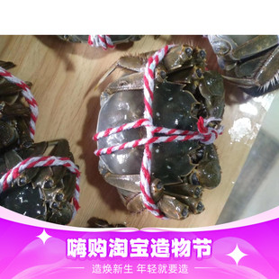 死蟹包赔 自产自销徐鲜记高邮湖鲜活大闸蟹螃蟹3两全母8只简装