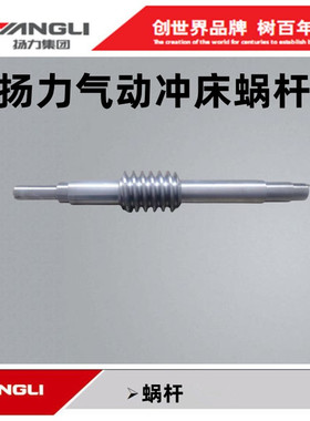 扬力原厂正品63T80T110T125T160T200T250T315T冲床配件铜涡轮蜗杆