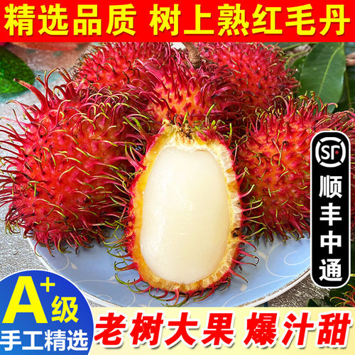 海南红毛丹当季新鲜现摘毛荔枝