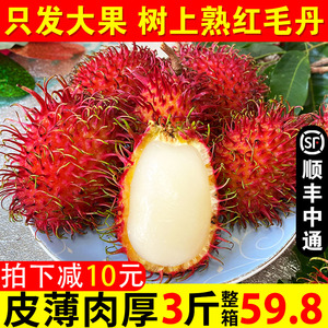 海南红毛丹毛荔枝新鲜毛丹果当季红牡丹热带水果3斤整箱批发包邮