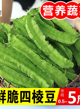 【新鲜采摘】海南四棱豆四角豆龙角豆新鲜蔬菜皇帝豆三亚特产包邮