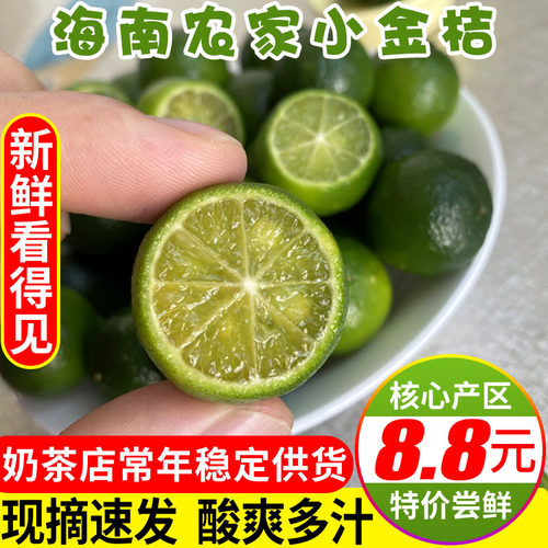 新鲜海南奶茶店专用包邮小金桔