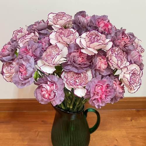 康乃馨鲜花花束云南昆明节日送花康乃馨花束