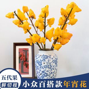 小众百搭年宵花五代果黄金果鲜花水培金玉满堂小猪佩奇果乳茄干花