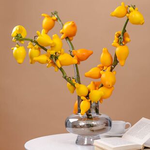 五代同堂富贵发财长寿年宵鲜花长期摆件云南小猪佩奇招财超长花期