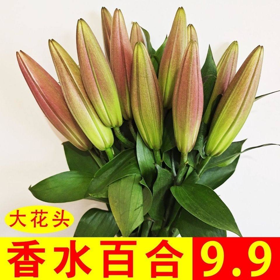 百合花云南昆明百合花康乃馨向日葵水养鲜花花束直发云南玫瑰桔梗