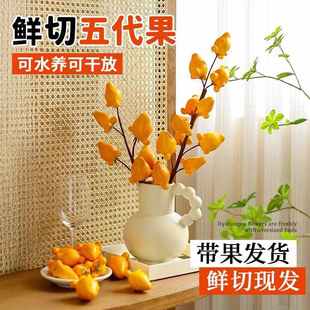 五代同堂果五代果富贵发财长寿年宵鲜花长期摆件云南小猪佩奇客厅