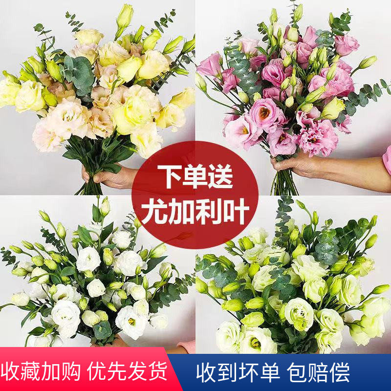 云南洋桔梗生活鲜花基地直发空运尤加利叶黄莺香水百合家庭客厅真