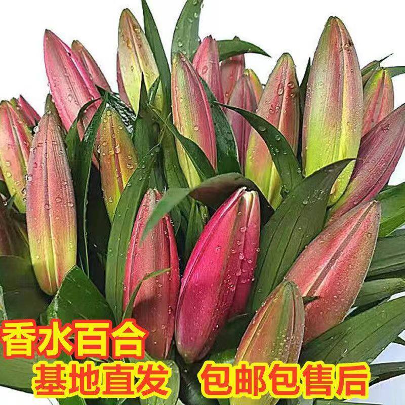 香水百合水养鲜花花束直云南昆明基地速递同城客厅摆件礼物玫瑰
