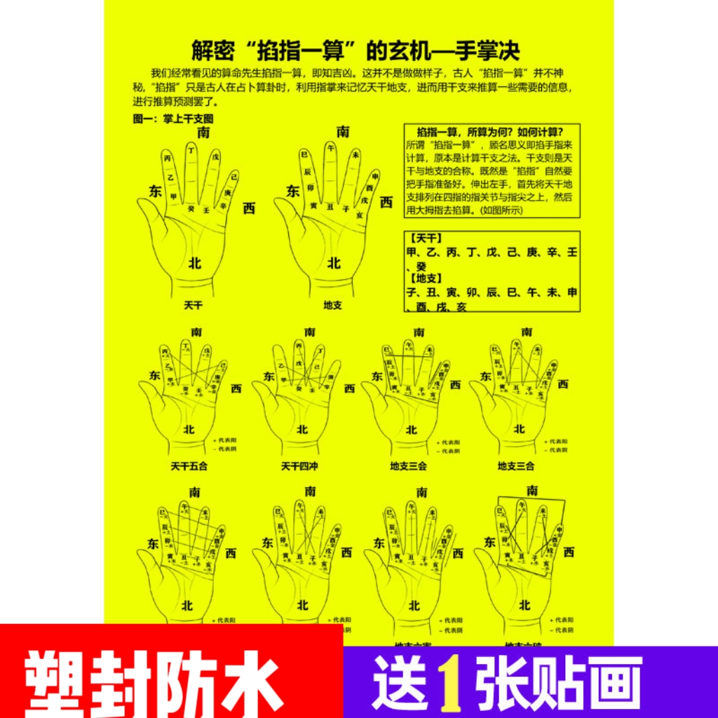 手掌诀天干地支五行十二生肖时辰八字速查六十甲子纳音表卡片全套