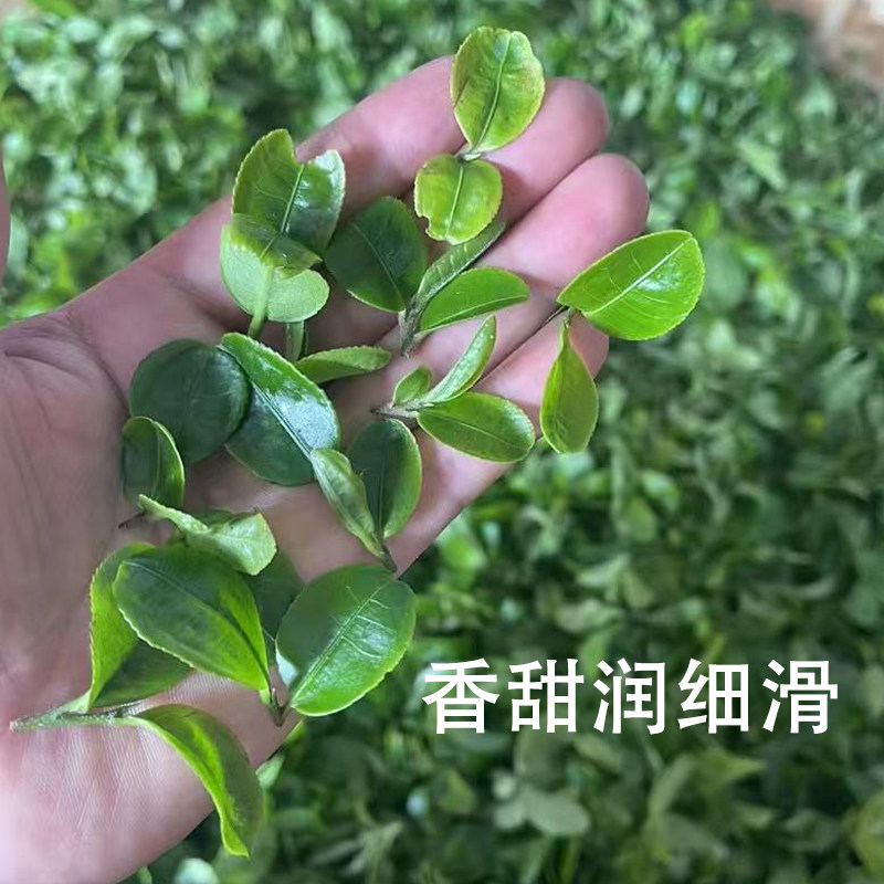 2026年倚邦猫耳朵鸡嘴壳