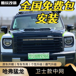 哈弗猛龙卫士款中网格栅防虫网条灯黑化中网改装外观装饰专车专用