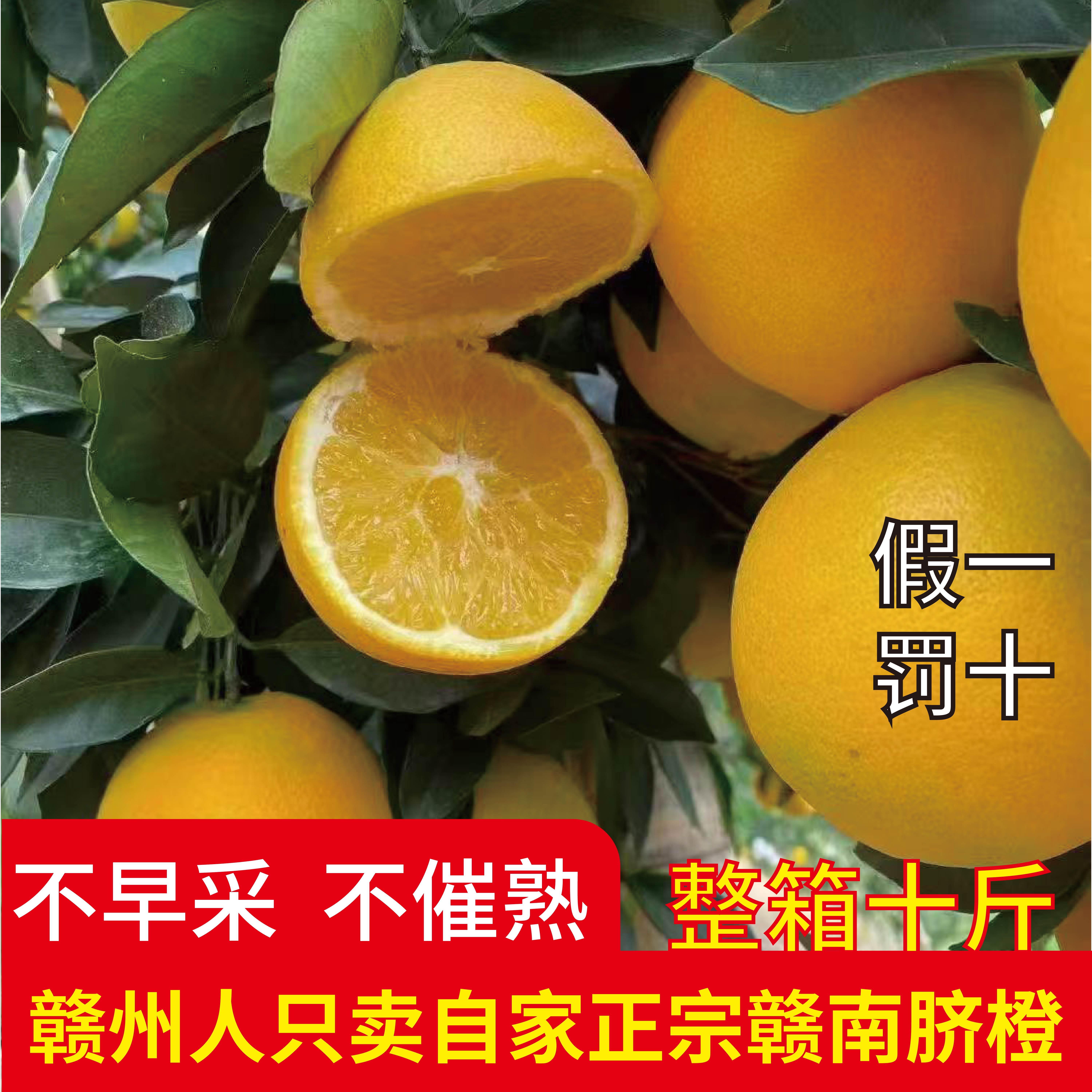 江西赣南脐橙新鲜当季水果整箱10斤现摘现发正宗手剥橙子孕妇水果