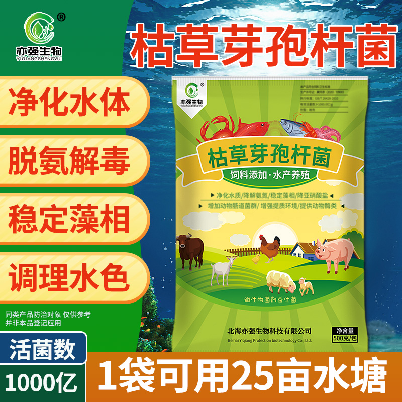 1000亿水产枯草降解亚硝酸盐氨氮净化水质减蓝藻肥水净水用菌 农用物资 污水处理菌剂 原图主图