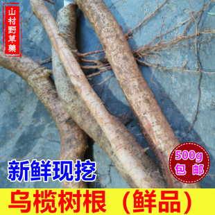 新鲜乌榄根 黑橄榄根乌榄树根 山区现挖整段黑榄根500g包邮中药材