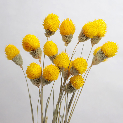 家居装饰干花易花坊小花束