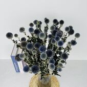 进口蓝星球干花高端软装 饰摆件 插花天然森系风ins北欧文艺家居装