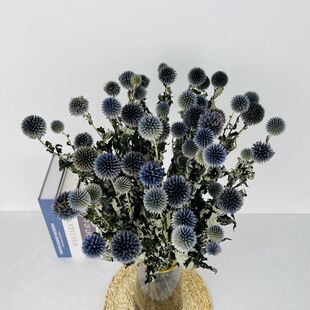进口蓝星球干花高端软装插花天然森系风ins北欧文艺家居装饰摆件