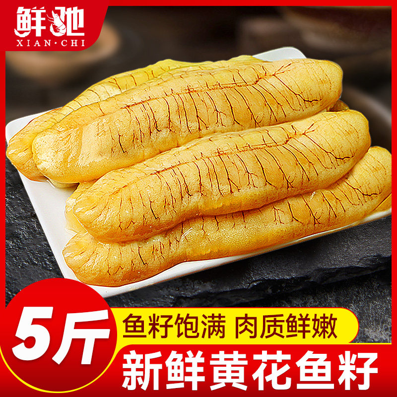 顺丰超大活鱼鲜取黄花鱼籽5斤装图片