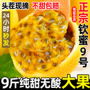 整箱 包邮 百香果黄金钦蜜9号新鲜广西当季 水果旗舰店特大果原浆5斤
