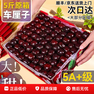 智利车厘子新鲜水果原箱桑提娜3J4J5J礼盒装当季整箱孕妇吉制樱桃