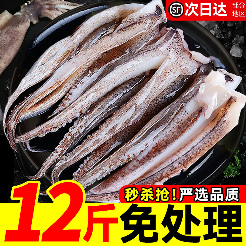 新鲜鱿鱼须鲜活冷冻尤鱼串腿生鲜章鱼二本足海鲜水产铁板鱿鱼商用