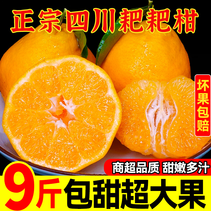正宗四川春见耙耙柑橘子粑粑柑丑八怪柑桔当季现摘新鲜水果整箱