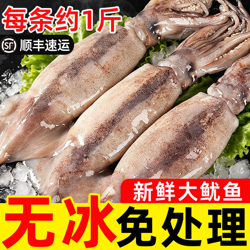 特大三去鱿鱼顺丰包邮
