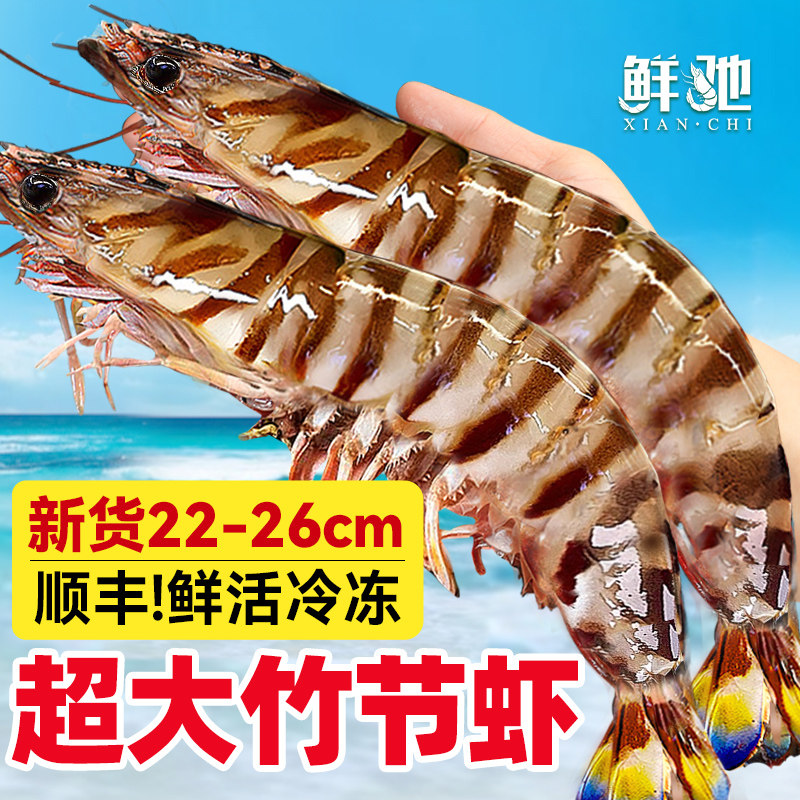 九节虾超大斑节虾特大竹节虾海鲜虾基围虾大虾鲜活速冻海虾黑虎虾