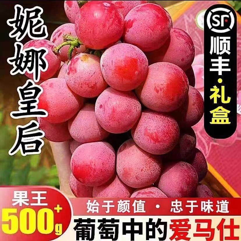 妮娜皇后普通已售99999+