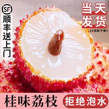 荔枝新鲜桂味荔枝应季新鲜现摘高端黑荔枝叶老树大果整箱顺丰10斤