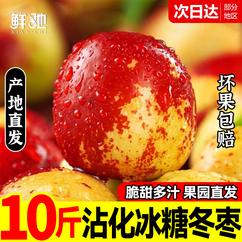 沾化冬枣果园直发,5斤包邮到家
