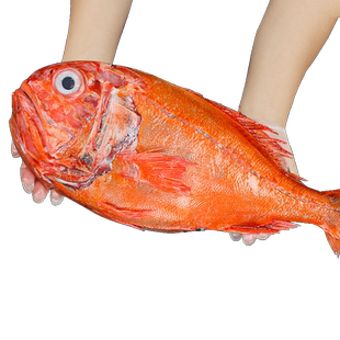深海长寿鱼超大海鱼橙鲷鱼红石斑鱼新西兰海鲜水产鲜活冷冻
