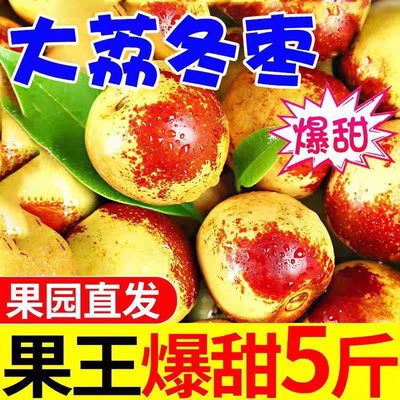 特级大荔冬枣，5斤包邮到家