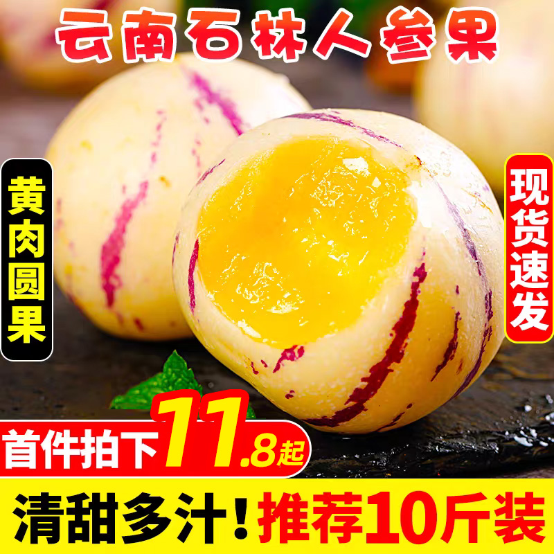云南人参果|树上熟甜！