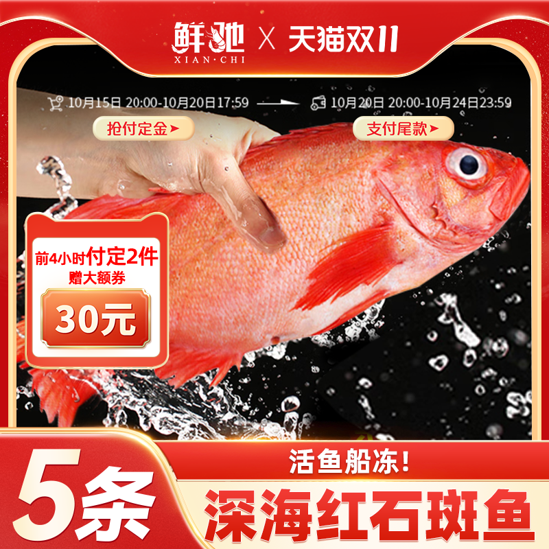 万人回购！红石斑鱼鲜活冷冻超大